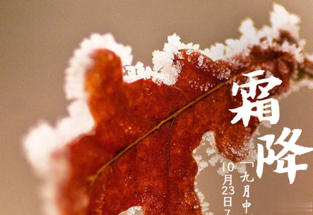 2020霜降早安祝福语 霜降已来临寒冷问候您2