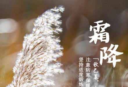 2020霜降早安祝福语 霜降已来临寒冷问候您1