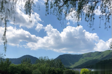 心情低落时可以看的句子  不要去反复思考同一个问题10
