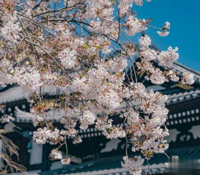2020剩60天的励志说说带图片 2020最后60天写给自己的话11