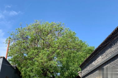 心情低落时可以看的句子  不要去反复思考同一个问题5