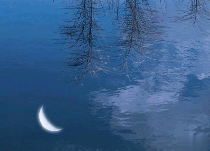 15句惊艳朋友圈的唯美短句 山中若有眠枕的是月14