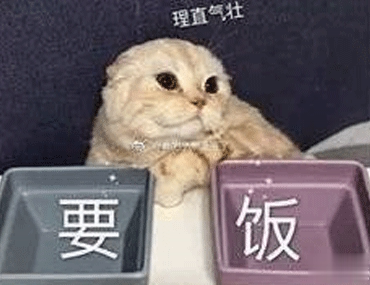 双十一笑死人的有趣请假文案 你们今天请假可以用的理由2