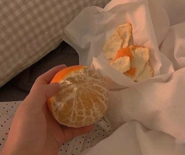 适合十一月发朋友圈温暖人心的文案 放弃不难但坚持一定很酷1