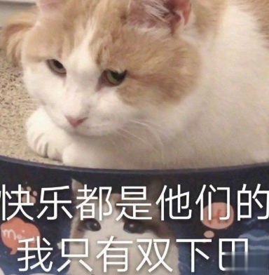 逗比女孩专属的朋友圈文案 逗比沙雕文案合集2