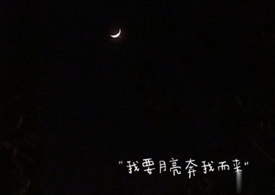 触动你的网易云音乐热评文案 触动心灵的文案13