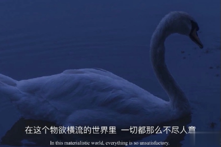 很丧却充满希望的句子带图片 经典朋友圈励志简洁句子10