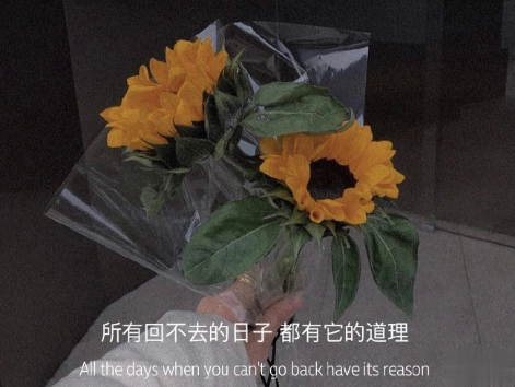 揭穿人生真相的经典句子 值得深思的精辟语录7