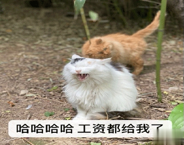 双十二的剁手搞笑文案2020 2020双十二朋友圈心情说说10