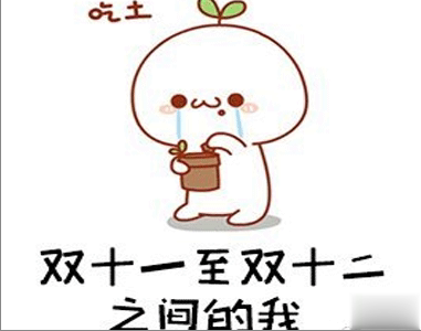 双十二的剁手搞笑文案2020 2020双十二朋友圈心情说说7