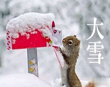 一波温柔的大雪节气唯美句子 2020大雪节气的诗意朋友圈文案