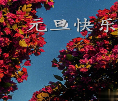 2021元旦跨年沙雕说说 2021最新跨年幽默说说