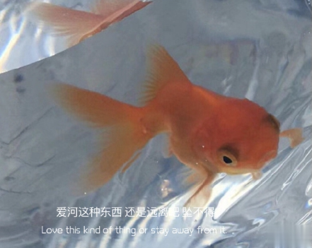 2021年超级励志句子 给2021年带来动力的句子12