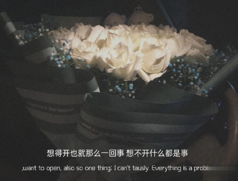 分手后发朋友圈的感情语录 含蓄微丧的分手文案2