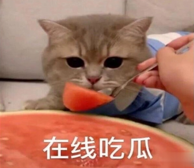吃瓜人朋友圈说说怎么发 微博吃瓜人有趣说说带图片