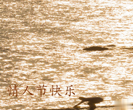 2021情人节表白成功的话 情人节超级甜蜜的表白文案