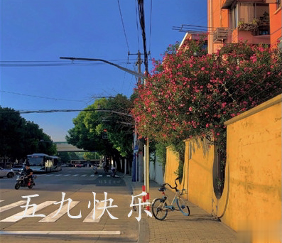 五九开始了年味渐浓早安说说 关于五九的心情说说2