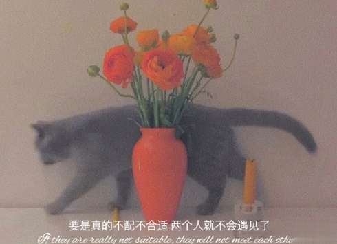 2021好好生活的治愈文案 很治愈内心的温柔文案2