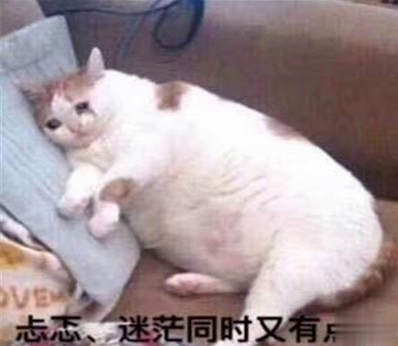 2021智障沙雕发说说带图片 看一次笑一次的说说9