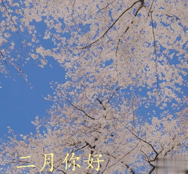 2021一月再见二月你好唯美心情说说 二月第一天早安说说