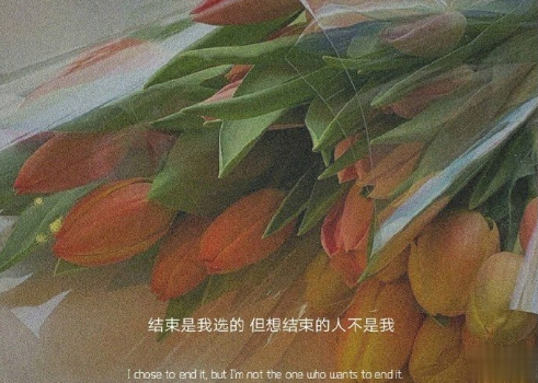 30条超级可爱的表白恋爱小句子 浪漫至极表白必备的文案2
