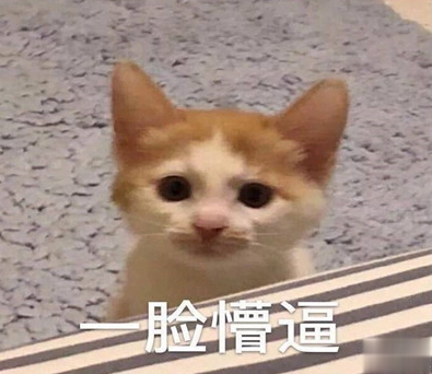 2021智障沙雕发说说带图片 看一次笑一次的说说12