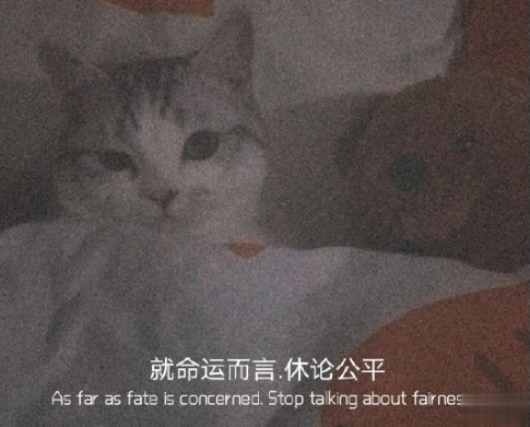 一听就让你觉得意难平的文案 温柔到让人心疼的说说2