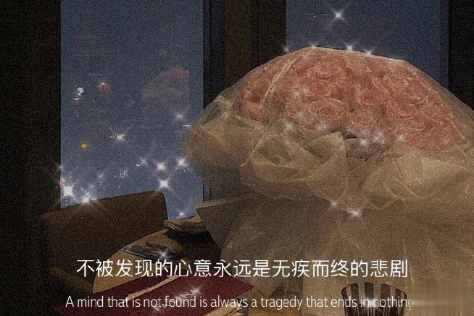 最温柔的方式表达我喜欢你 深情而又婉约的别致句子2
