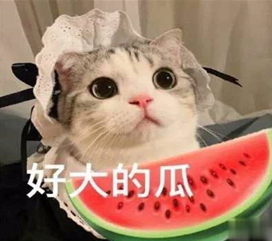 吃瓜人朋友圈说说怎么发 微博吃瓜人有趣说说带图片12