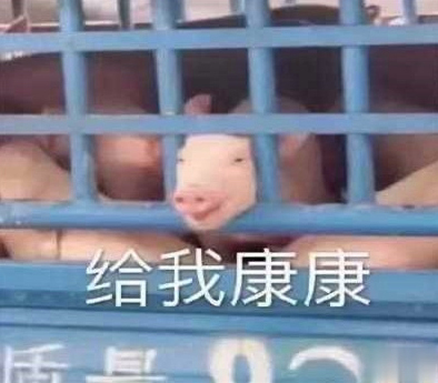 吃瓜人朋友圈说说怎么发 微博吃瓜人有趣说说带图片14