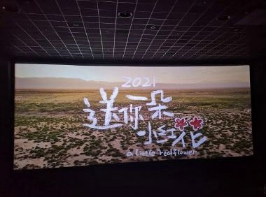 电影送你一朵小红花经典催泪台词 经典扎心催泪语录3