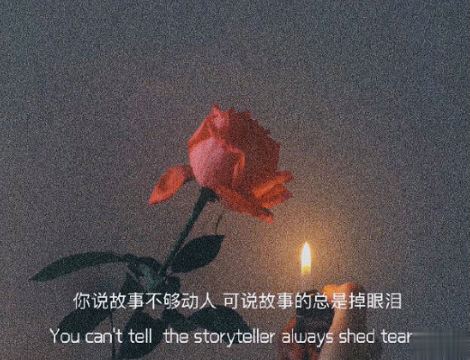 小红书热门伤感文案大全 点击量很高的发小红书的文案2