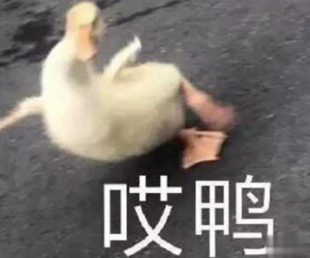 沙雕搞怪的朋友圈自拍文案 2021全新有趣的自拍文案带图片
