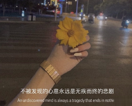 很吸引人让人爆笑的朋友圈说说 超级爆笑的朋友圈文案2