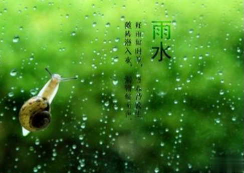 2021雨水节气的早安心情说说 雨水发朋友圈的早安正能量句子