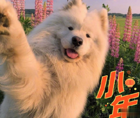 腊月二十四南方小年祝福语 南方小年夜暖心句子大全2