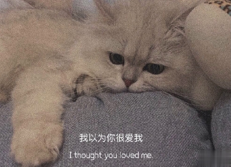 表达自己心情低落的句子带图片 厌倦了循环往复的生活5