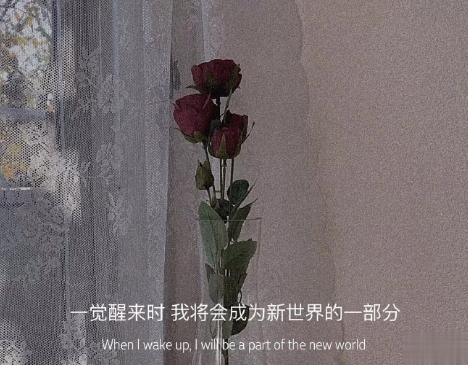 小众好听无关爱情的微信状态文案 唯美又简约的微信状态句子2