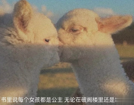表达自己心情低落的句子带图片 厌倦了循环往复的生活9