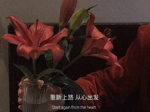 小众好听无关爱情的微信状态文案 唯美又简约的微信状态句子