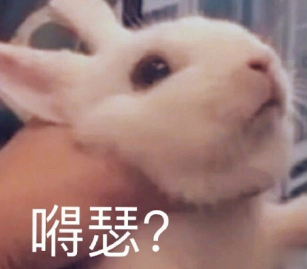 沙雕搞怪的朋友圈自拍文案 2021全新有趣的自拍文案带图片8