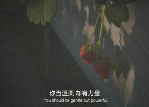 很温暖你内心的温柔句子精辟 写到心窝子里的说说2
