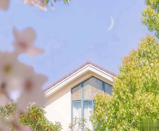 学生时代的暗恋文案 学生时代怦然心动的暗恋句子2