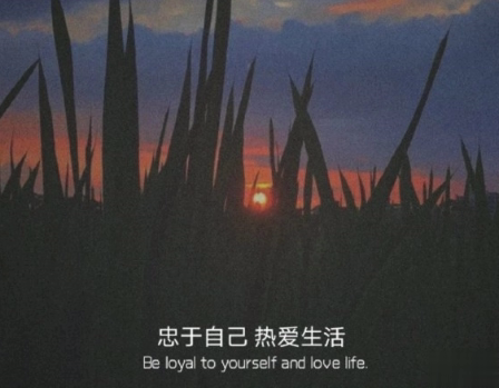 失眠时烦躁的心情说说 心情烦躁易怒崩溃想哭的句子2