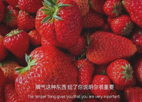 关于遇见的唯美短句带图片 表达遇见的唯美句子11
