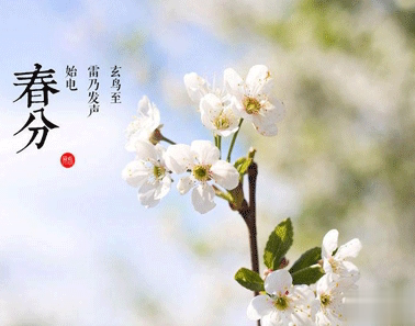 2021春分节气的暖心祝福语 今日春分的朋友圈说说