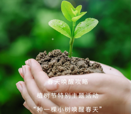 植树节的土味情话大全 适合植树节发的撩人句子2