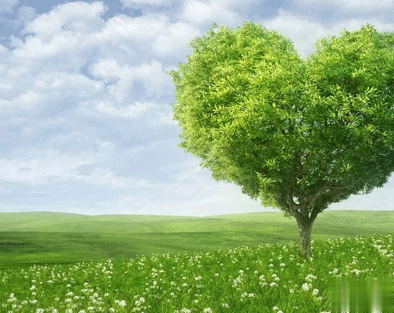 植树节的简短文字手抄报文案配图 2021微信植树节说说带图片7