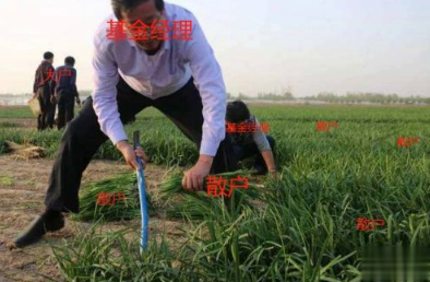 关于买基金的心情说说 买基金的幽默文案