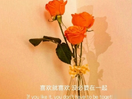 朋友圈晒花朵的优美文案 关于晒花朵的朋友圈4